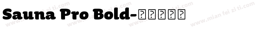 Sauna Pro Bold字体转换